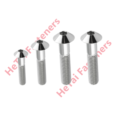 Stainless Steel Mirror-Finish Umbrella Head Custom Bolts Fasteners