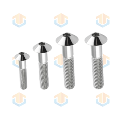 Custom Decorative Bolts with Mirror-Polished Heads