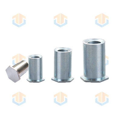 Thin-Head Rivet Nuts