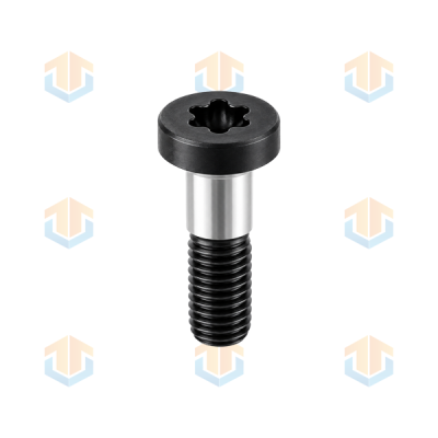 Custom Black Torx Shoulder Bolts | HETAI Manufacturing