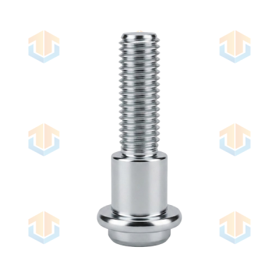 Custom Titanium Alloy Stepped Flange Bolts