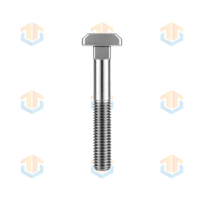 Hetai Custom T‑Head Carriage Bolts