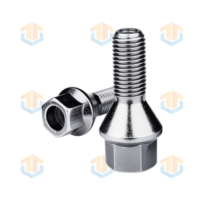 Custom Hexagonal Countersunk Bolts