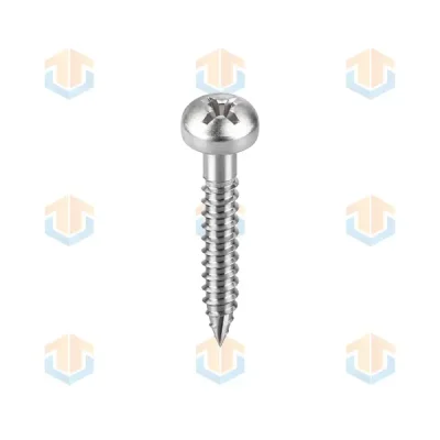 Custom Phillips Pan Head Self-Tapping Screws with Shoulder