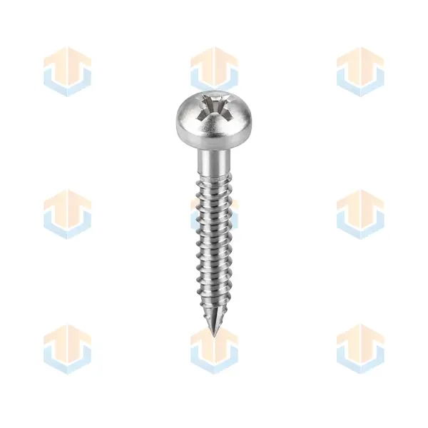 Phillips Pan Head Self-Tapping Screws with Shoulder