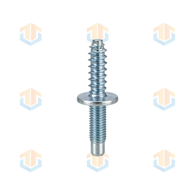 Custom Double-Ended Plastic & Machine Thread Screws