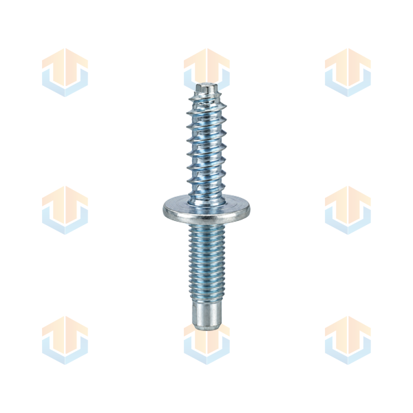 Double-Ended Plastic & Machine Thread Screws