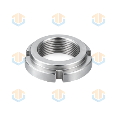 Custom Stepped Round Slotted Lock Nuts
